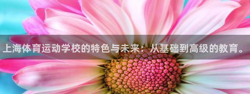 vsport体育官方正版app集团官网网址