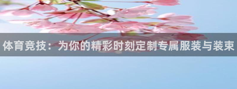 vsport体育官方正版app娱乐首页网站大全：体育