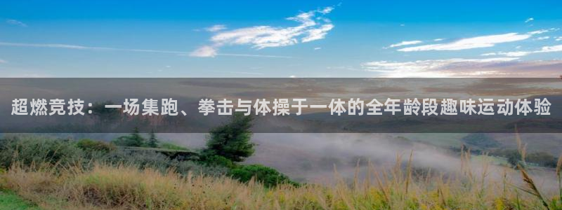 vsport体育官网下载娱乐