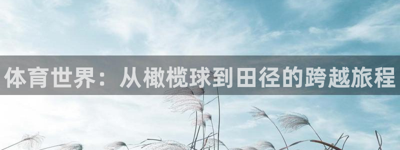 vsport体育官方正版app娱乐代理怎么样