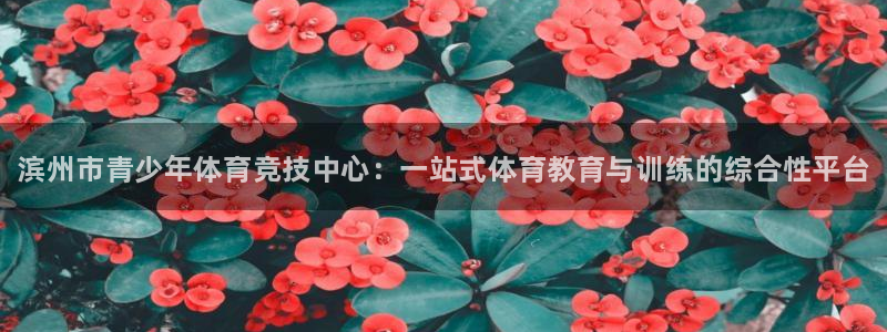 vsport体育官网下载平台注册要钱吗安全吗：滨州市青少年体