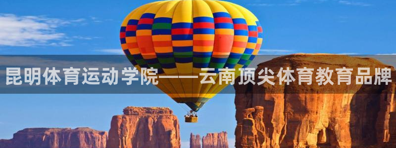 德国vsport体育官方正版app集团