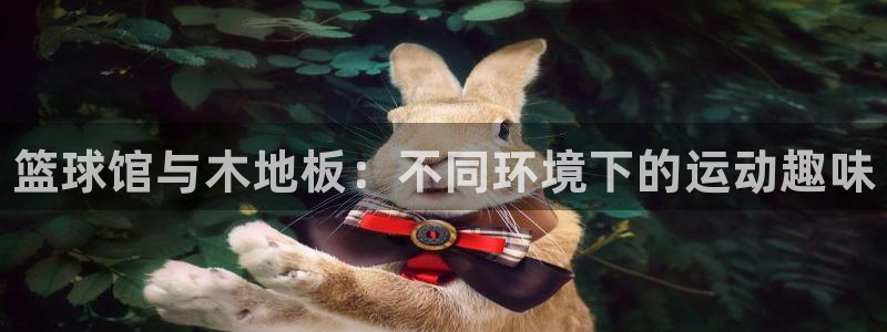 海南vsport体育官网下载发展怎么样：篮球馆与木地