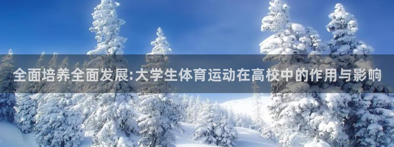 vsport体育官网下载是干嘛的公司