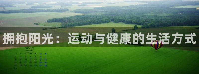 vsport体育官方正版app集团logo：拥抱阳光