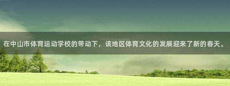 vsport体育官方正版app开户