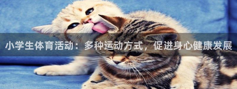 vsport体育官方正版app开户：小学生体育活动：多种运动
