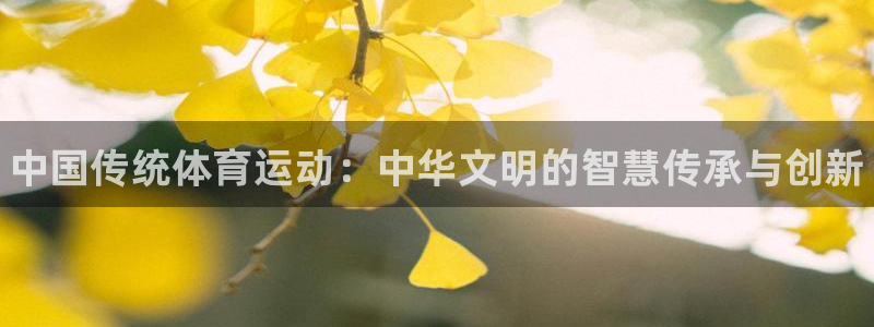 vsport体育官方正版app集团
