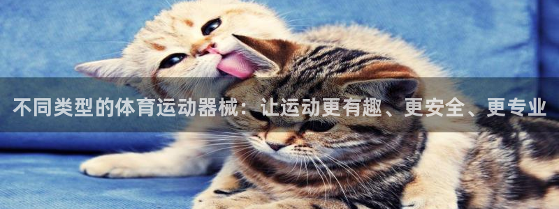 注册vsport体育官方正版app：不同类型的体育运