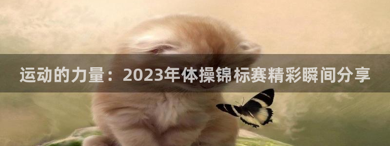 vsport体育官方正版app五金厂：运动的力量：2023年