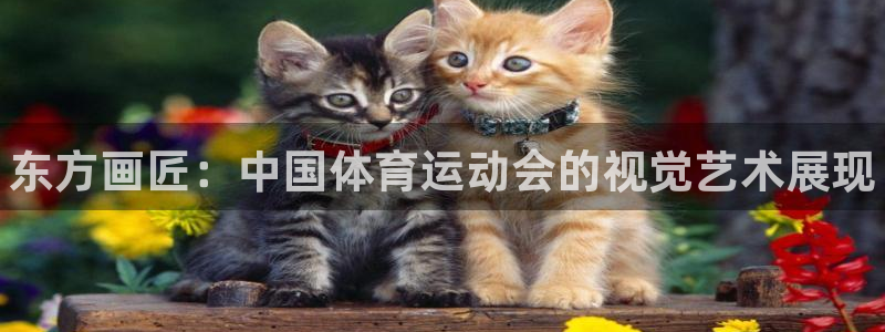 海南vsport体育官网下载：东方画匠：中国体育运动会的视觉