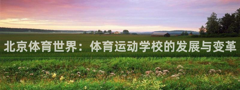 海南vsport体育官网下载：北京体育世界：体育运动学校的发