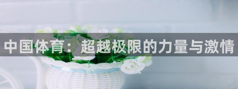 vsport体育官网下载平台注册：中国体育：超越极限