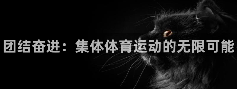 vsport体育官网下载平台APP：团结奋进：集体体