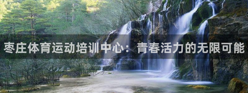 vsport体育官网下载是干嘛的公司：枣庄体育运动培