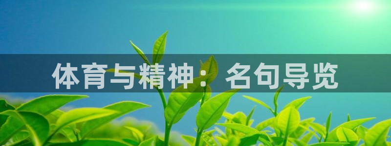 注册vsport体育官方正版app：体育与精神：名句
