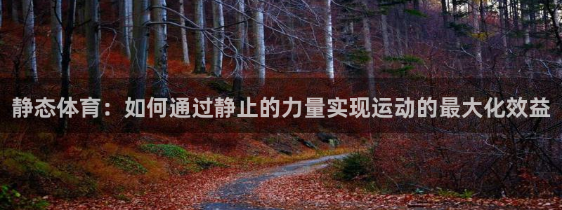 vsport体育官网下载招商电话地址查询：静态体育：