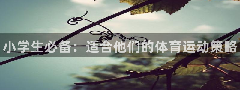 vsport体育官网下载招商电话号码是多少