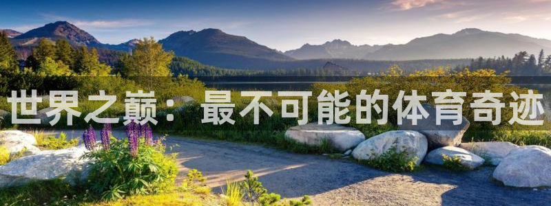 vsport体育官网下载平台：世界之巅：最不可能的体育奇迹
