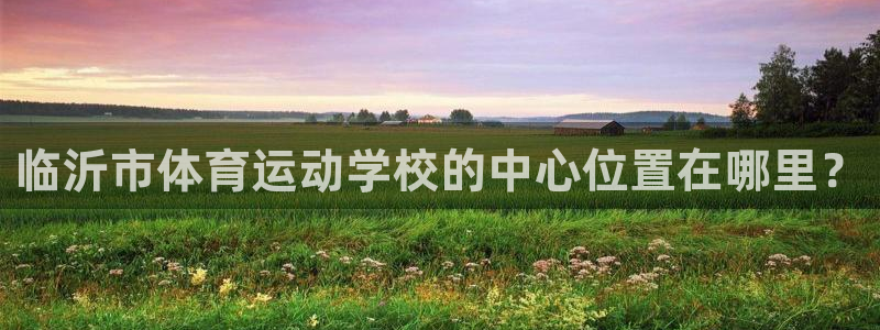 vsport体育官网下载招商电话地址查询：临沂市体育运动学校