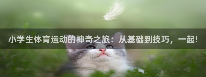 vsport体育官方正版app集团官网首页