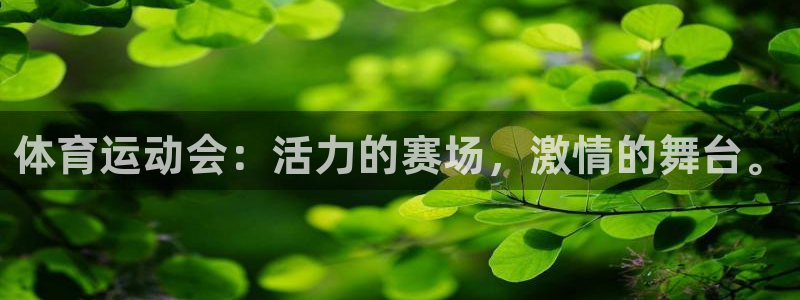 vsport体育官网下载招商电话是多少号码：体育运动会：活力