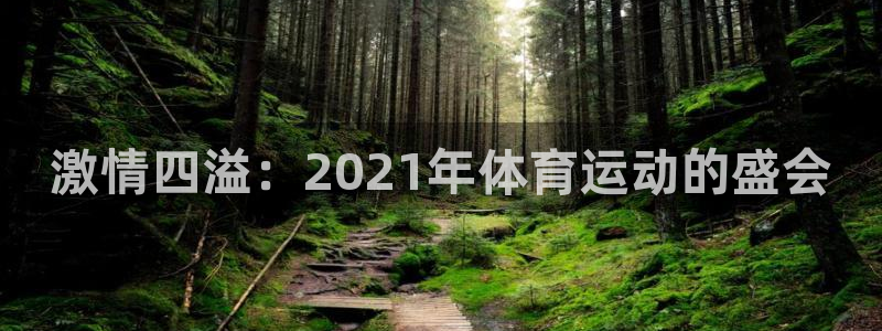 vsport体育官方正版app新能源