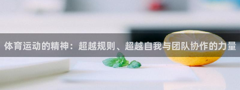 vsport体育官方正版app代理：体育运动的精神：超越规则