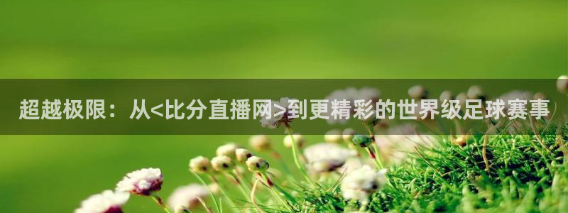 833nba直播在线观看免费：超越极限：从<比分直播网>到更精彩的世界级足球赛事