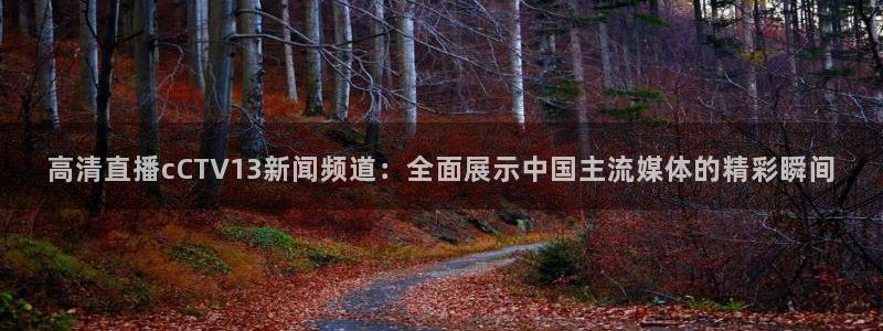833nba直播：高清直播cCTV13新闻频道：全面展示中国主流媒体的精彩瞬间