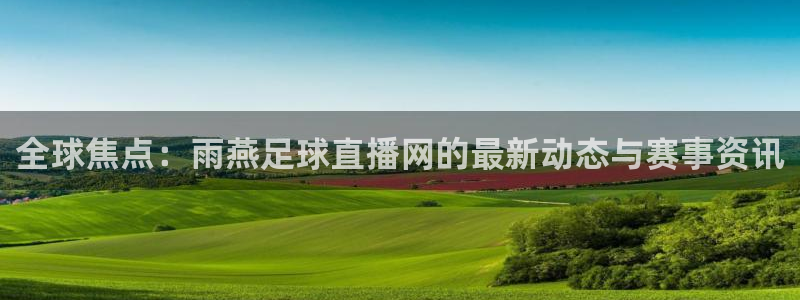 833直播免费体育直播：全球焦点：雨燕足球直播网的最新动态与赛事资讯