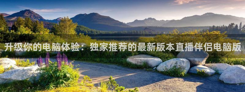 833篮球体育免费直播平台：升级你的电脑体验：独家推荐的最新版本直播伴侣电脑版