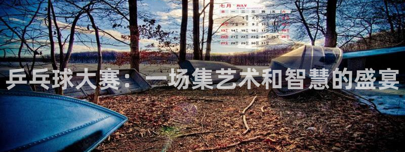 833体育直播观看：乒乓球大赛：一场集艺术和智慧的盛宴