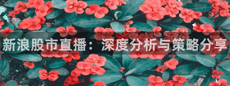 833直播体育免费观看入口：新浪股市直播：深度分析与策略分享