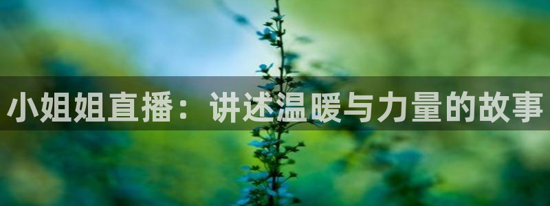 833直播比赛在线观看：小姐姐直播：讲述温暖与力量的故事