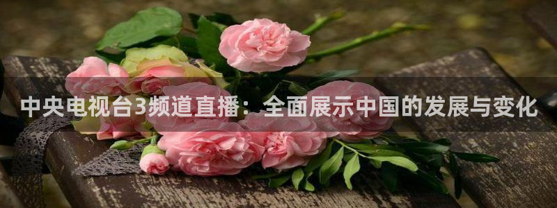 833篮球直播免费高清直播：中央电视台3频道直播：全面展示中国的发展与变化